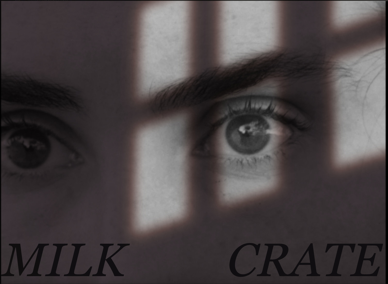 Milk Crate