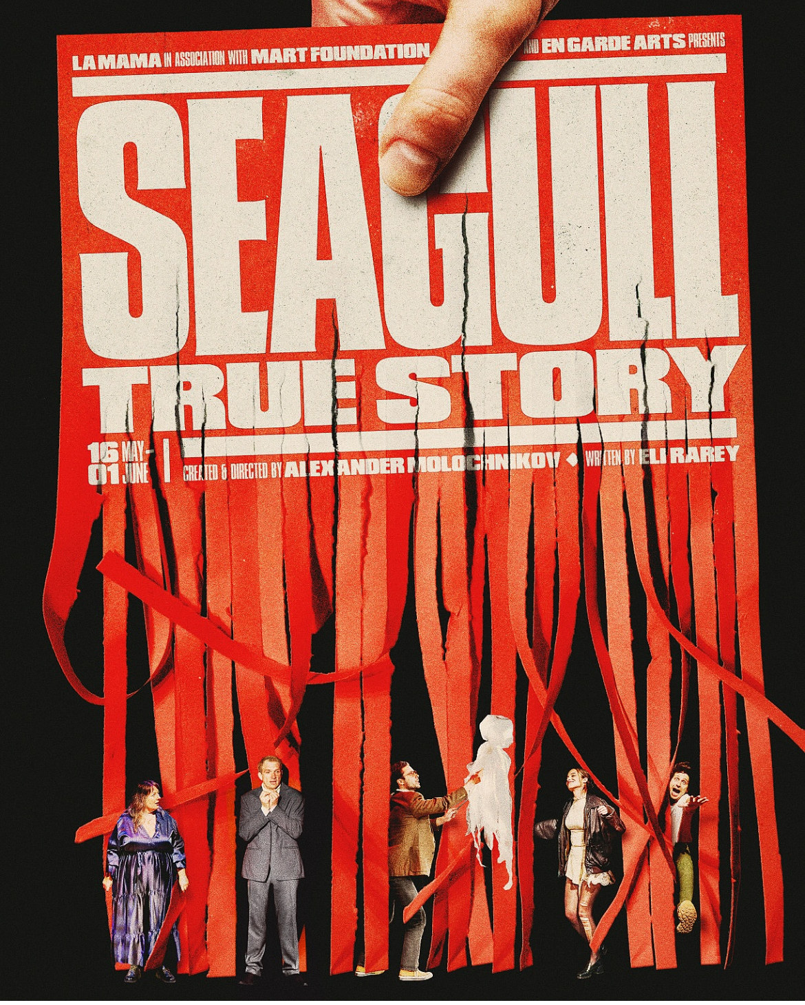 Seagull True Story
